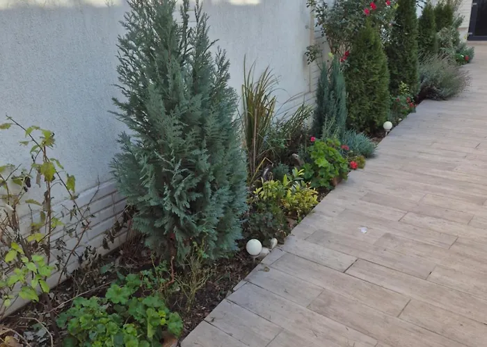 Avrig Dinu Apartment Bucureşti